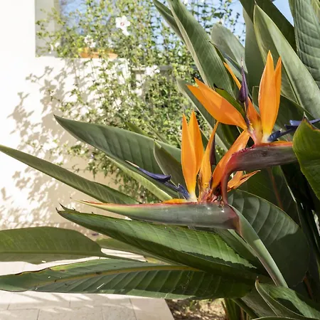 Casa Eleonora * San Foca
